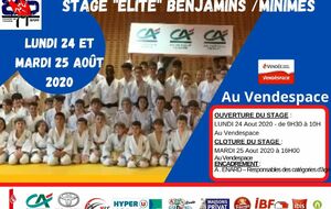Stage sportif &quot;élite&quot; Benjamins /Minimes