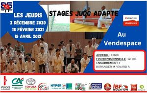 Stage judo Adaptés