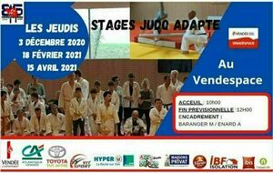 Stage judo Adaptés 