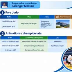 Stage PARA judo